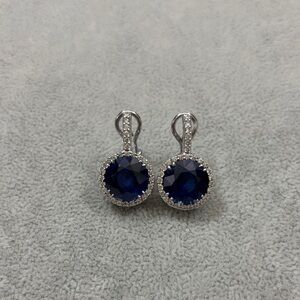 Elegant Silver and Blue Earrings